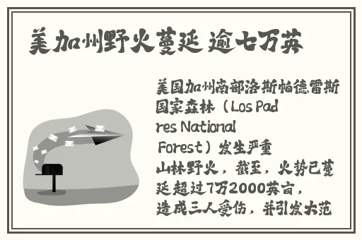 久久99精品久久只有精品