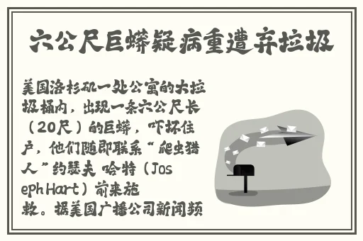 罗宾对乔巴进行青春期治疗